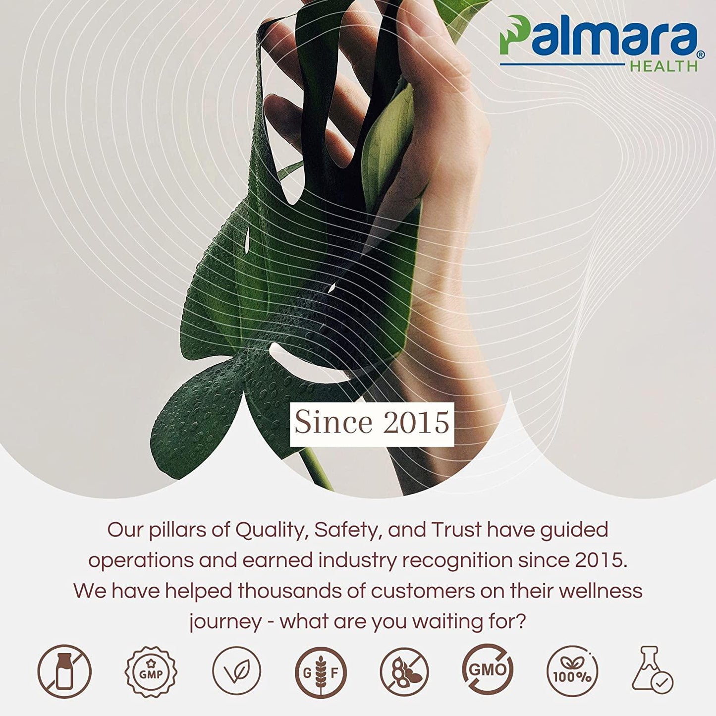 Palmara Health Premium Immune Support, 60 Capsules