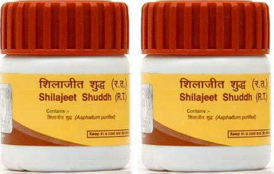Patanjali Shilajit Sat Shudh, 20 g, 2 Stück