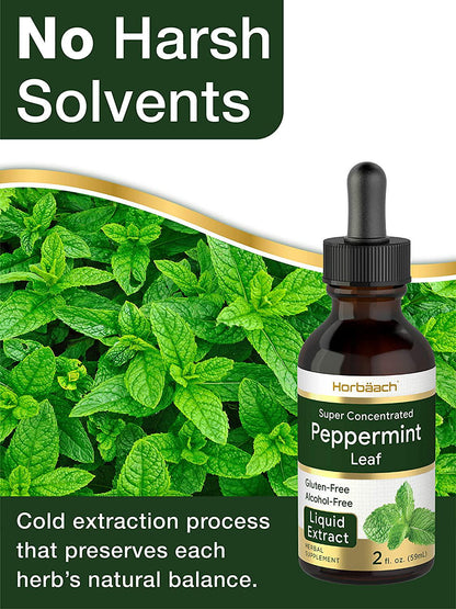 Peppermint Leaf Liquid Extract | 2 fl oz | Mentha Piperita | Vegetarian, Non-GMO and Gluten Free Supplement | by Horbaach