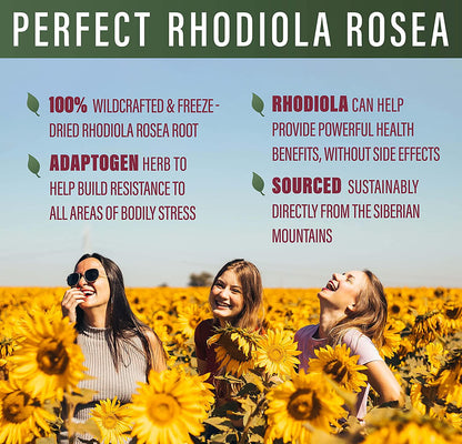 Perfect Rhodiola Rosea, for Better Focus, Energy, and Stress Relief, Optimal 3% Rosavins to 1% Salidroside Ratio, a Natural Adaptogen ~60 Vegetable Capsules