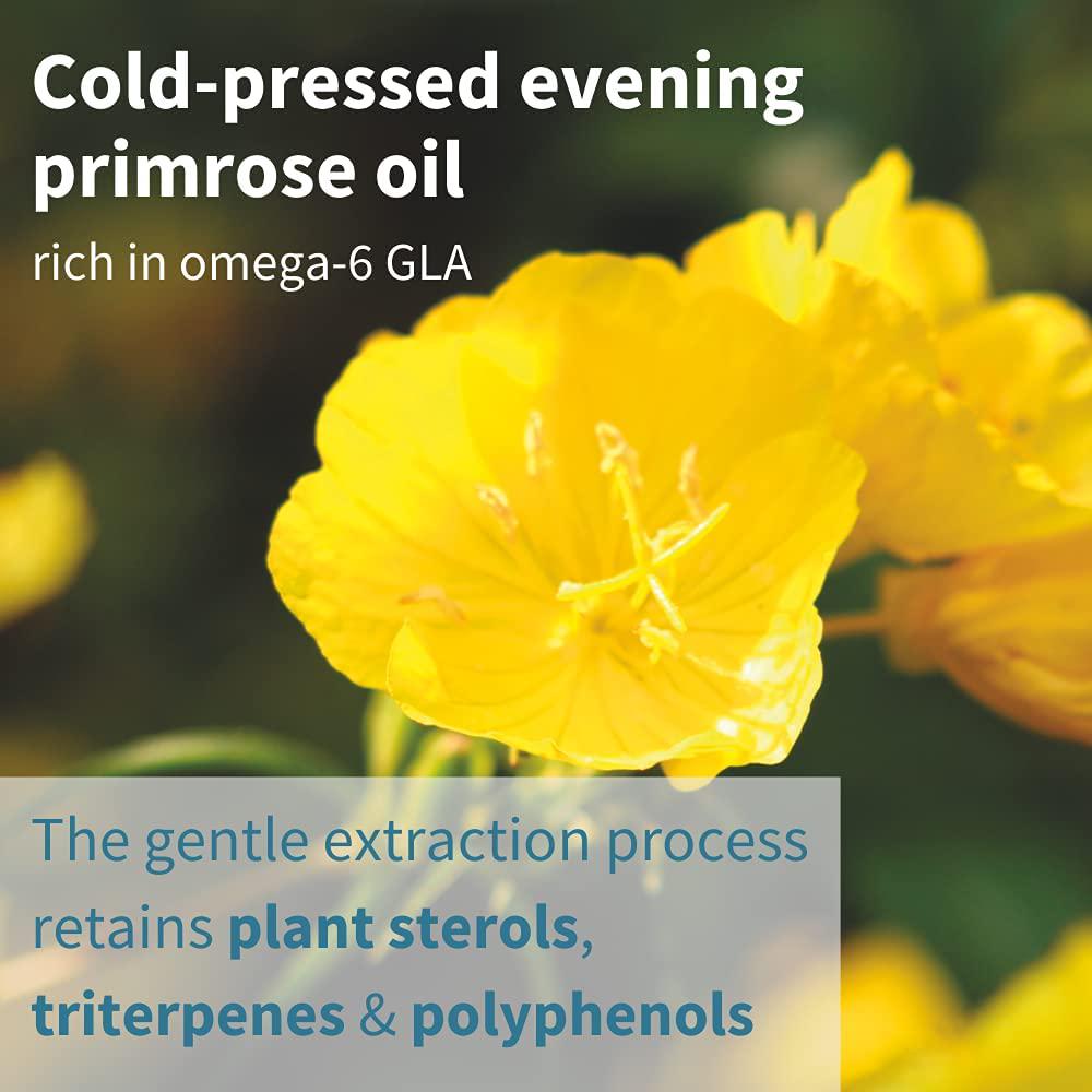 Pharmepa MAINTAIN EPA DHA Omega-3 Fish Oil and D3, 750/250 per serving, Odorless, 60 small softgels