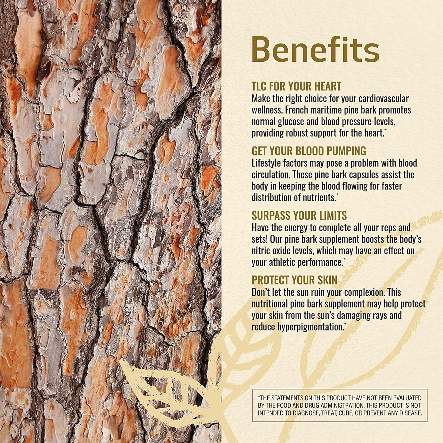 Pine Bark 100 Capsules 500 mg | Filled with Pine Bark Extract | Supports Heart Health | Max Potency | Blood Pressure Support | Non-GMO