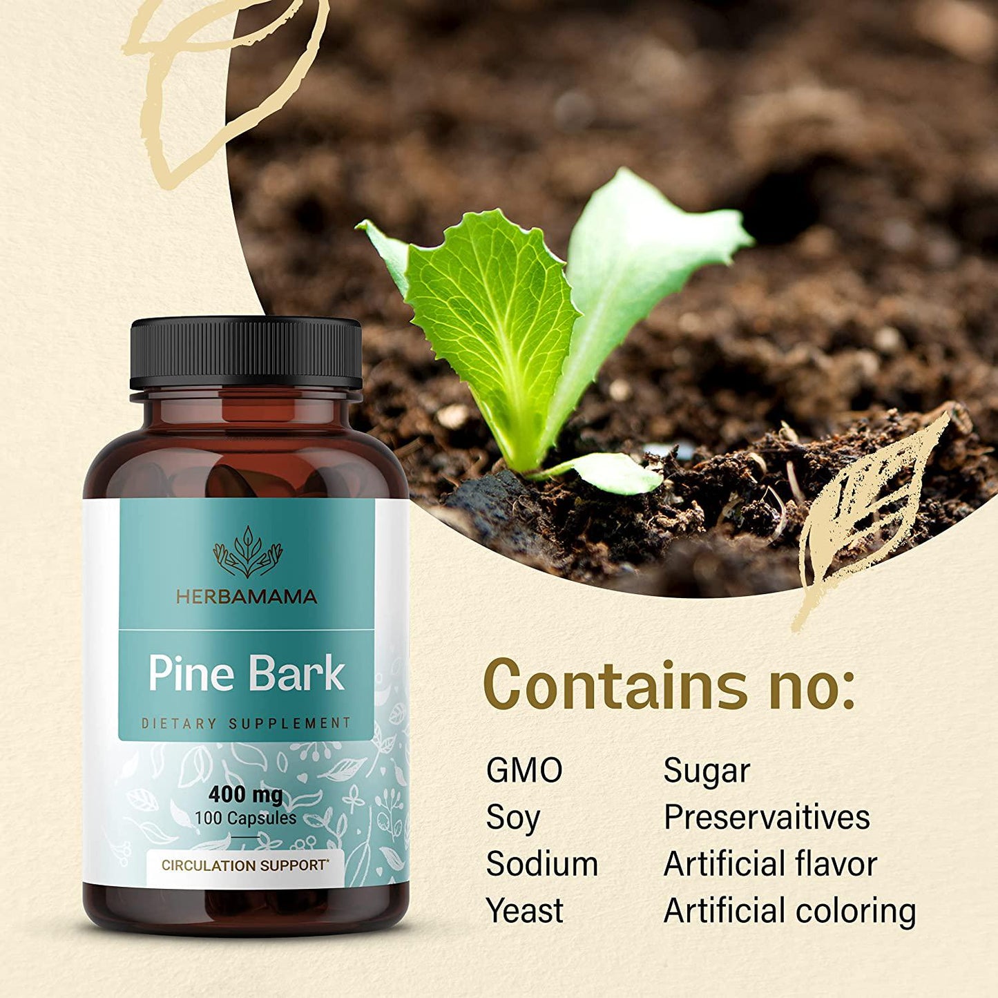 Pine Bark 100 Capsules 500 mg | Filled with Pine Bark Extract | Supports Heart Health | Max Potency | Blood Pressure Support | Non-GMO