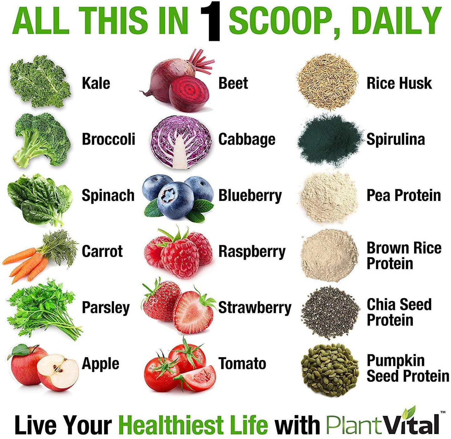 PlantVital Plant Based Protein Powder w 18 Superfoods, Veggies and Probiotics: Kale, Beets, Spirulina and More. Vegan, All BCAA s, Organic, Non-GMO, Gluten Free