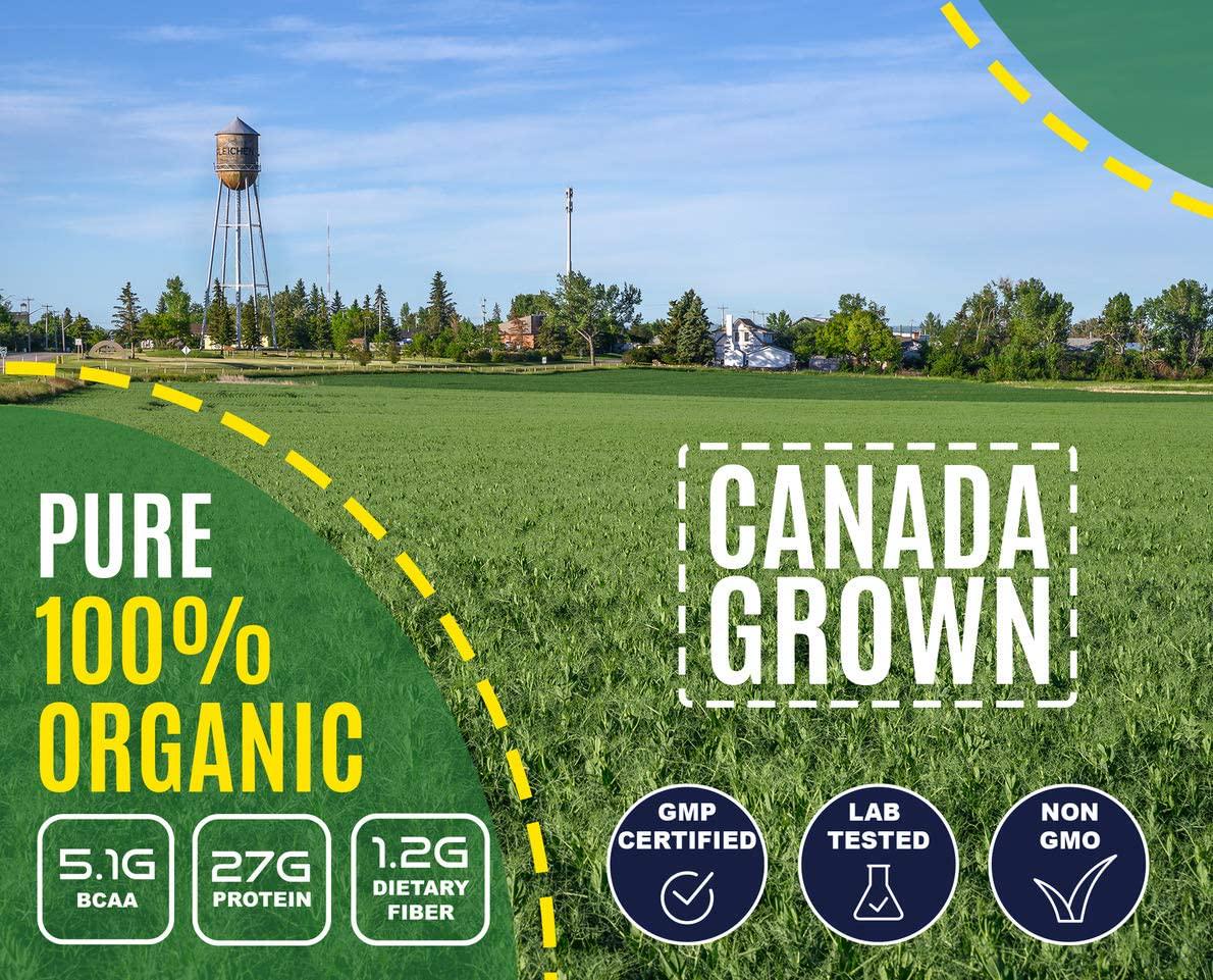Plant Based - 100% Pure Organic Hydrolyzed Pea Protein Powder - Canada Grown Yellow Pea, Vegan Natural Unflavored, Dairy Free, Gluten Free, Soy Free, Sugar Free, Non-GMO with BCAA 2.62lb