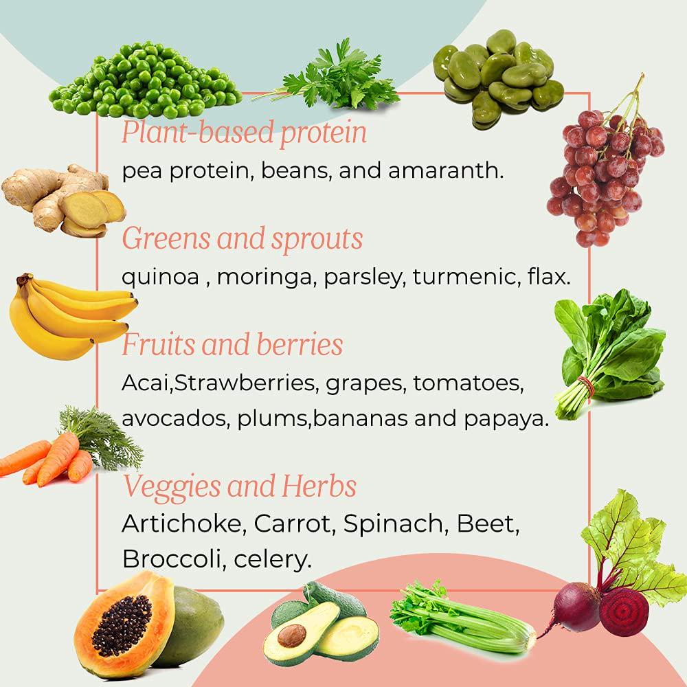 PlusFood Plant Based Protein Powder + Superfoods / Vegan Friendly / No Soy, No Eggs, No Nuts, No Dairy / No Sugar Added / Low Carbs / Vanilla Flavor / Probiotics and omegas / 30 Servings