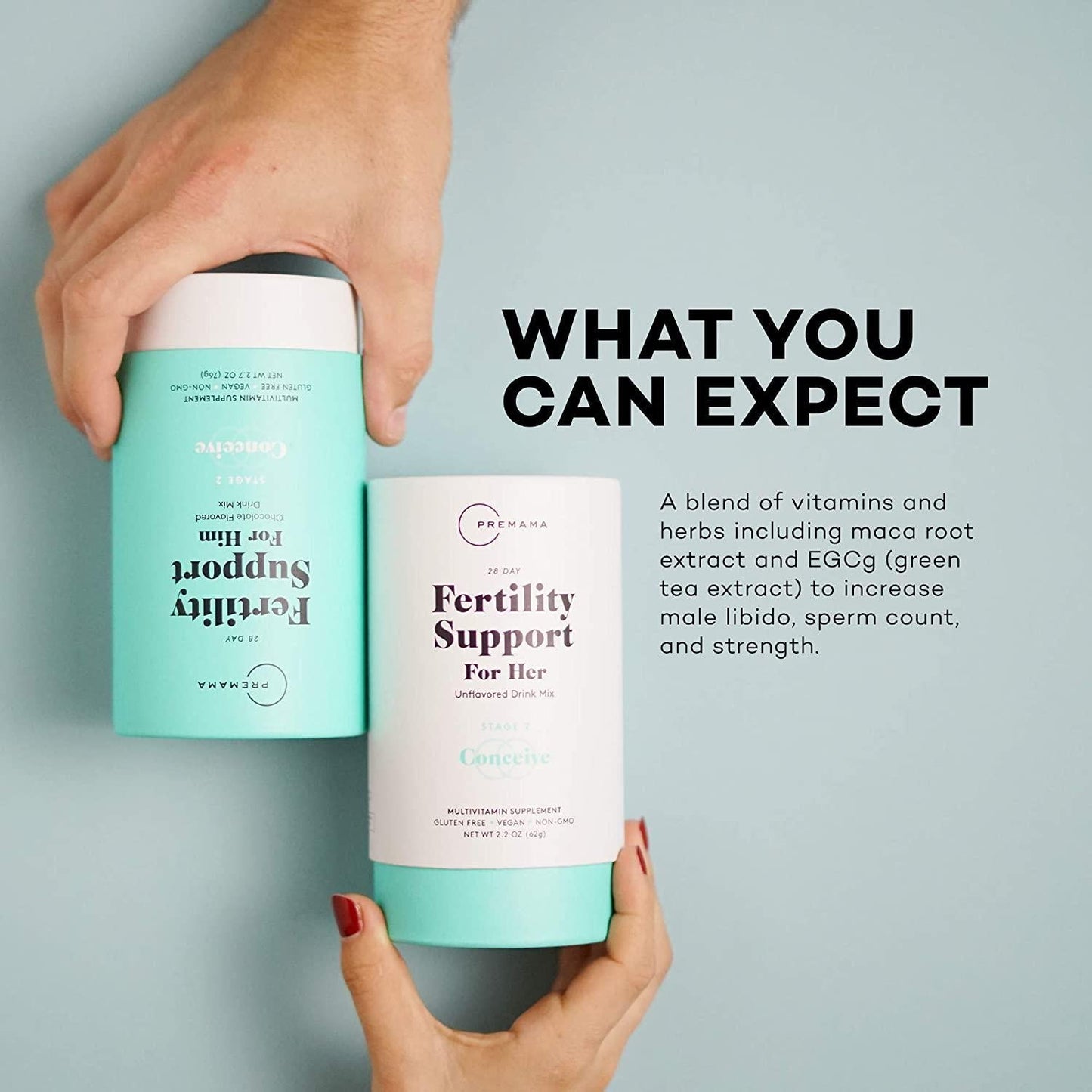 Premama Mens Fertility Support Vitamin Drink Mix | Male Fertility Supplement | Vegan Multivitamin Support Sperm Count Quality Motility | 1 Pack, 28 Servings