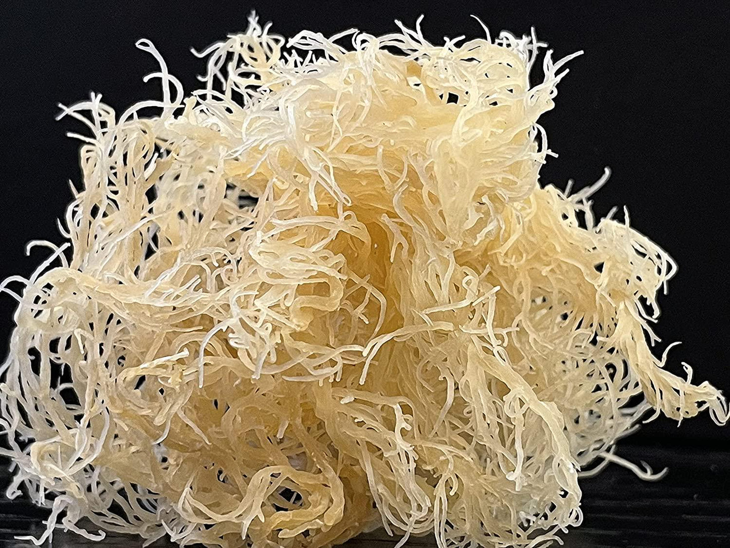 Premium Gold St. Lucia Sea Moss
