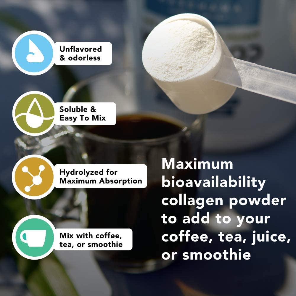 Premium Grass Fed Collagen Peptides Powder (17.6oz) | Paleo Friendly | Unflavored, Odorless, Cold Water Soluble | Hydrolyzed Gelatin Protein | Promotes Healthy Joints, Skin, Metabolism