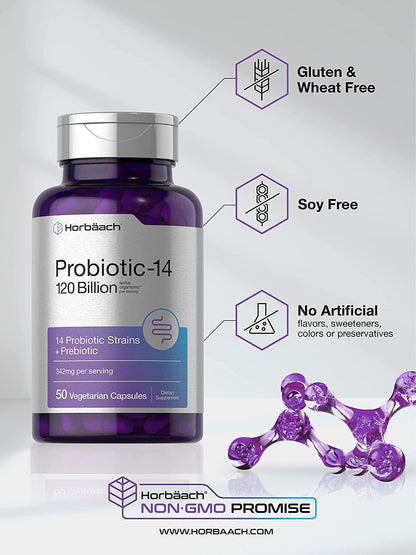 Probiotics 120 Billion CFUs | 50 Capsules | with Prebiotics for Women and Men | Vegetarian, Non-GMO and Gluten Free Supplement | by Horbaach