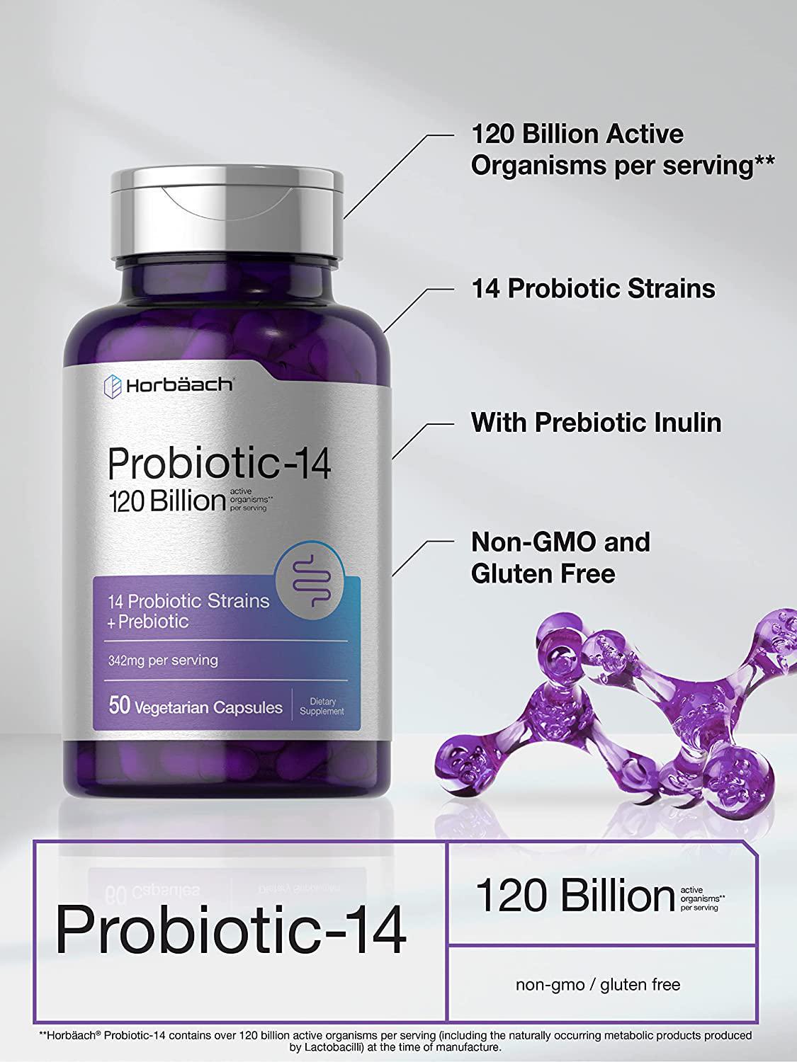 Probiotics 120 Billion CFUs | 50 Capsules | with Prebiotics for Women and Men | Vegetarian, Non-GMO and Gluten Free Supplement | by Horbaach