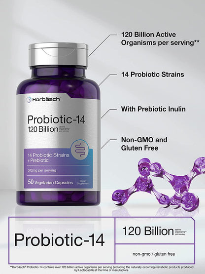 Probiotics 120 Billion CFUs | 50 Capsules | with Prebiotics for Women and Men | Vegetarian, Non-GMO and Gluten Free Supplement | by Horbaach