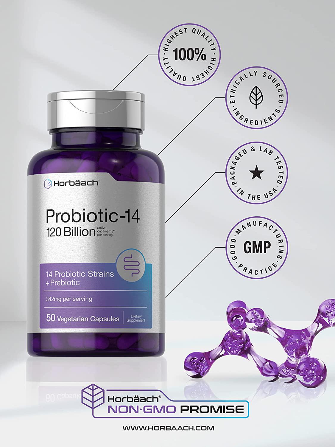 Probiotics 120 Billion CFUs | 50 Capsules | with Prebiotics for Women and Men | Vegetarian, Non-GMO and Gluten Free Supplement | by Horbaach