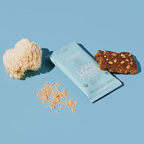 Productivity Bundle - Functional Mushroom Protein Bars | Full Dose (1500mg) of Lion's Mane or Cordyceps in Each Bar | Organic, Non-GMO, Vegan, Gluten-Free, High Protein, Low Sugar | 2 Boxes of 12