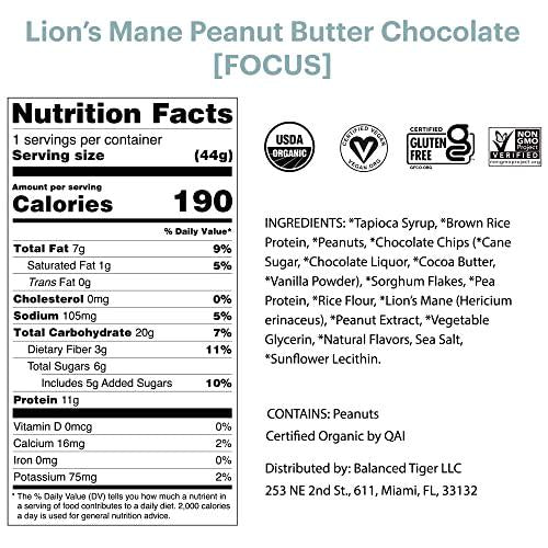 Productivity Bundle - Functional Mushroom Protein Bars | Full Dose (1500mg) of Lion's Mane or Cordyceps in Each Bar | Organic, Non-GMO, Vegan, Gluten-Free, High Protein, Low Sugar | 2 Boxes of 12