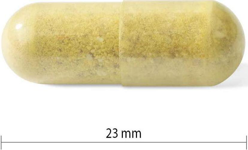 Progressive MultiVitamin for Active Men - 120 Capsules | Made with Glutamine, ALA, CoQ10, Green Food Concentrates, Chromium, Tribulus, Zinc, Vitamin D3 and Vitamin K2