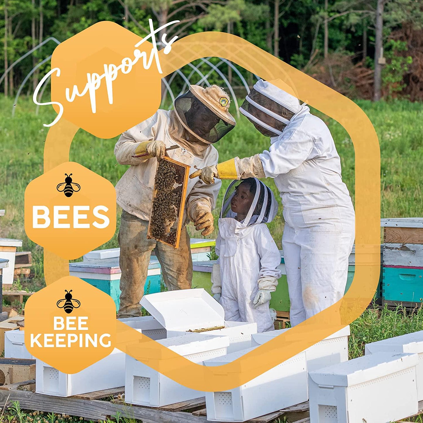 Propolis - Antioxidants, Immune Support Supplement, Antimicrobial Body Protection - Vegan Capsules.