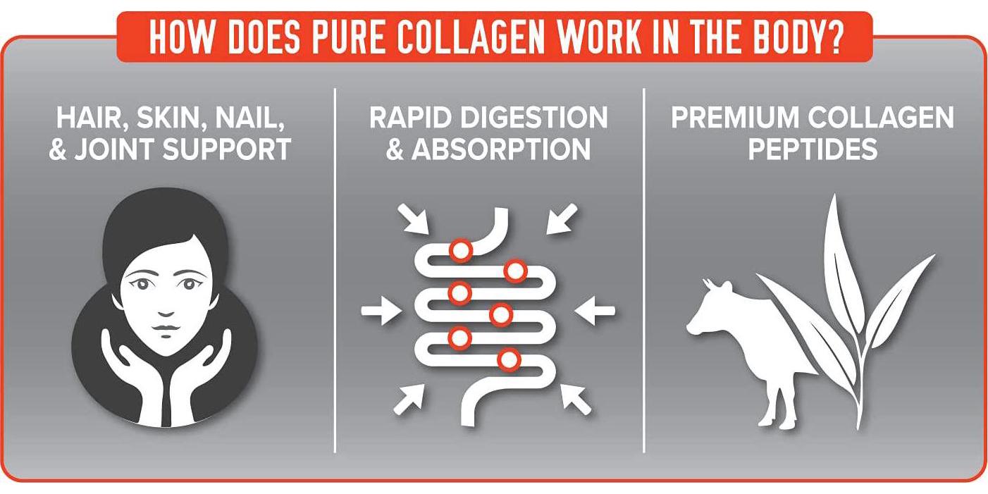 Pure Collagen, Ultimate Grass-Fed Bovine Collagen, Unflavored, Great for Hair, Skin Nail and Joints (16 oz)