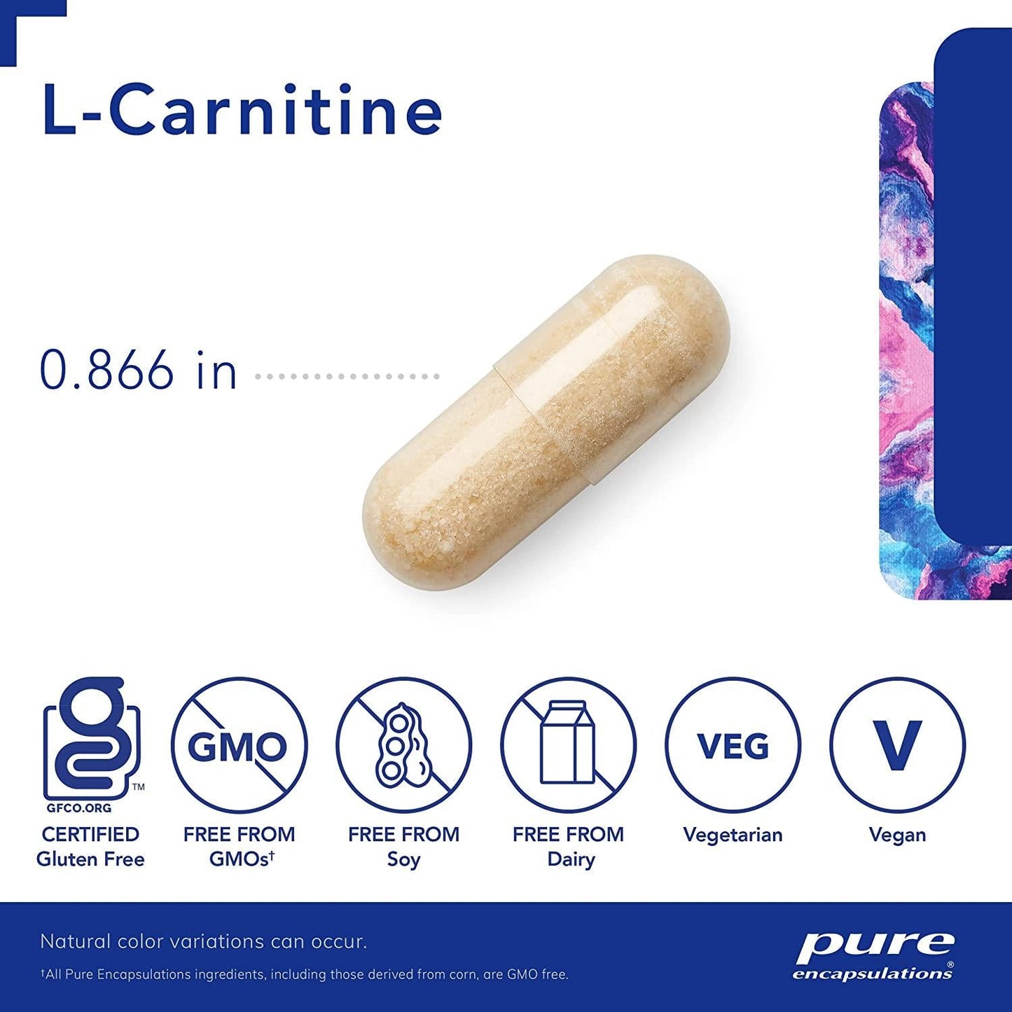 Pure Encapsulations - L-Carnitine - Hypoallergenic Supplement for Cardiovascular and Endurance Support - 60 Capsules