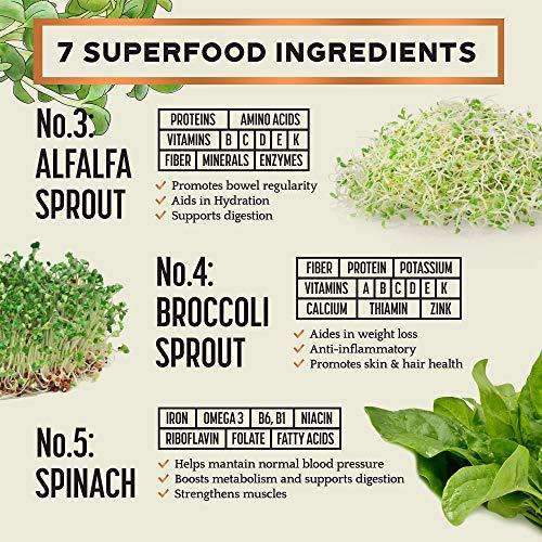 Pure Super Greens Powder Green Juice Powder with 7 Super Greens to Boost Energy, Digestion, pH Balance, Detox Natural, Healthy Superfood Powder Drink Mix by Bright Horizon Health, 8oz