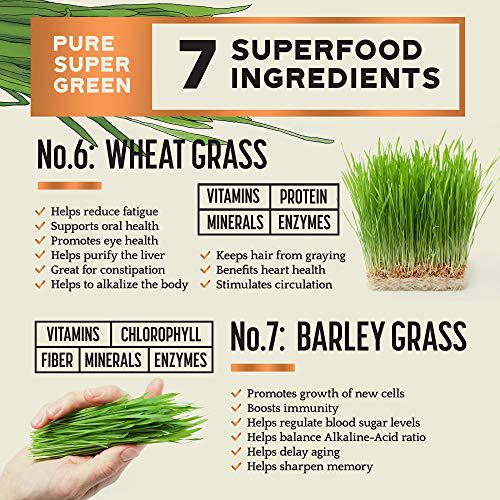 Pure Super Greens Powder Green Juice Powder with 7 Super Greens to Boost Energy, Digestion, pH Balance, Detox Natural, Healthy Superfood Powder Drink Mix by Bright Horizon Health, 8oz