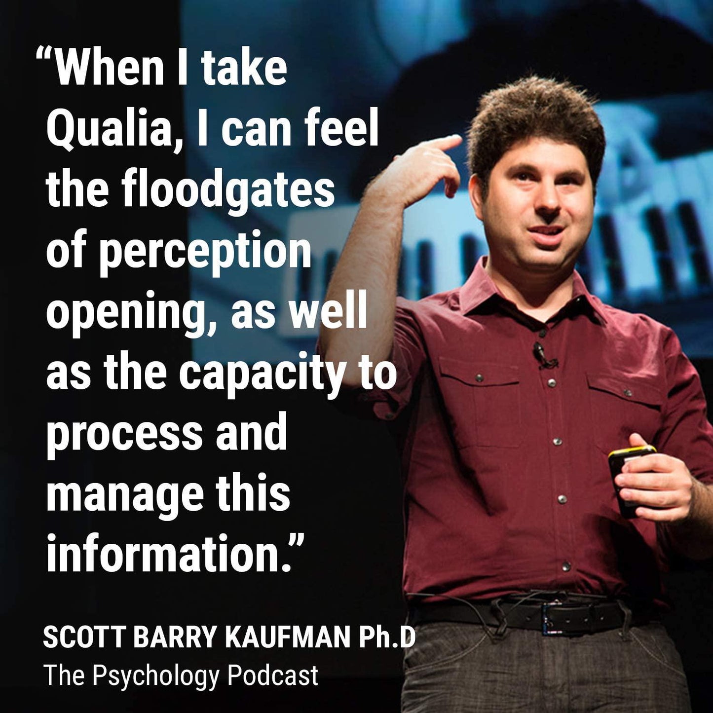 Qualia Mind Essentials Nootropics | The Brain Supplement for Focus, Supporting Memory, Mental Clarity, Energy, Reasoning, and Concentration with Ginkgo biloba, Bacopa monnieri, Celastrus, Rhodiola rosea and More