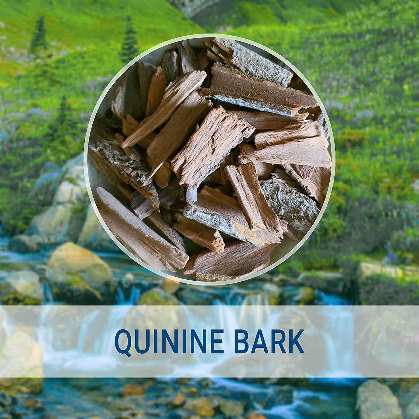 Quinine Liquid Extract, Filled with Quinine Bark (Cinchona officinalis) 2 fl oz