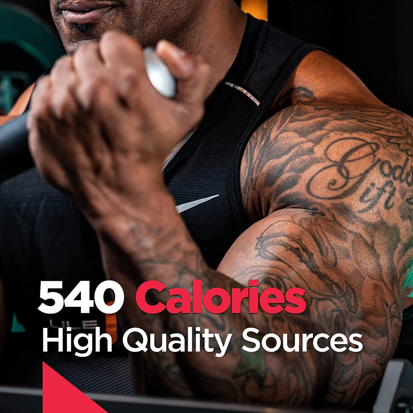 R1 Gain, Rule 1 Proteins (Chocolate Fudge, 16 Servings)