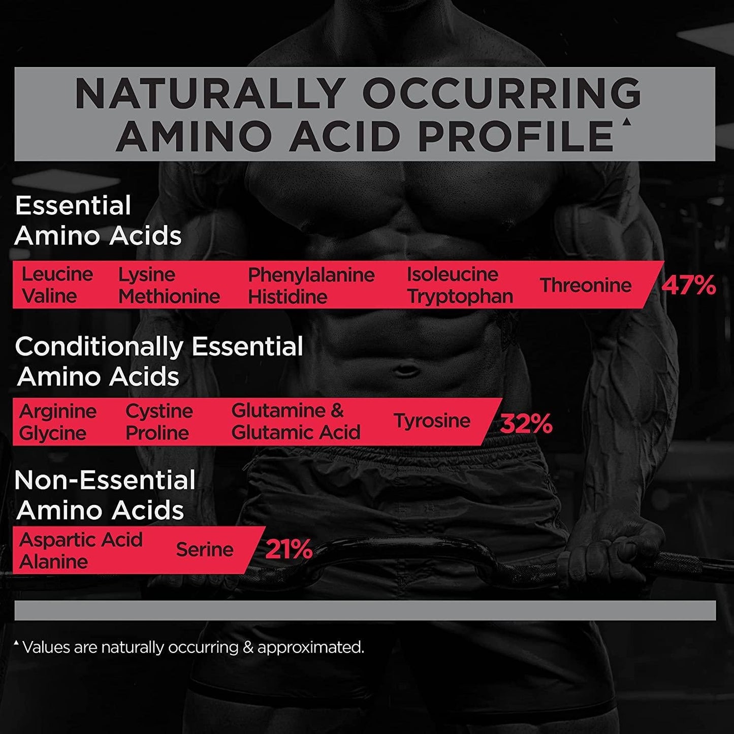 R1 Gain, Rule 1 Proteins (Chocolate Fudge, 16 Servings)