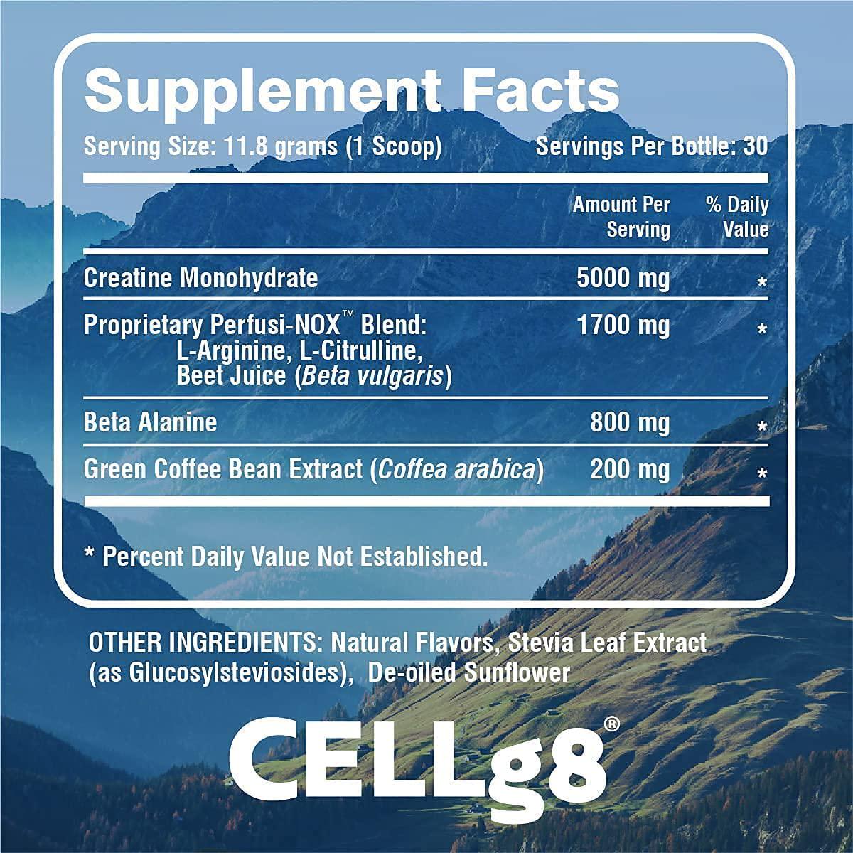 RHIP Adventure All Natural Pre-Workout Powder - Doctor Formulated Liposomal Supplement for Energy, Focus and Performance. Pre Workout for Men and Women, Vegan, Non-GMO, Keto Friendly.