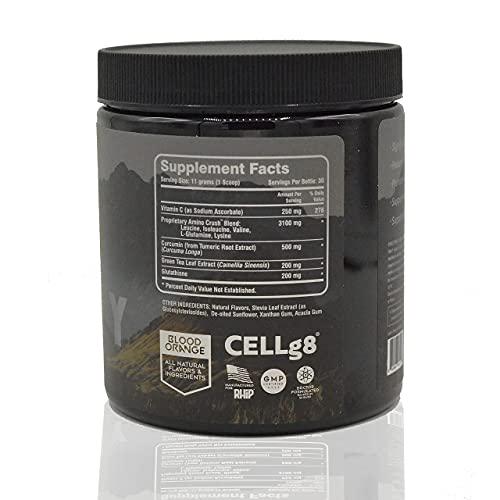 RHIP Recovery All Natural Post-Workout - Doctor Formulated Liposomal Daily Supplement, Reduced Soreness, Increased Muscle Growth, Improved Immune Function. Post Workout for Women and Men.