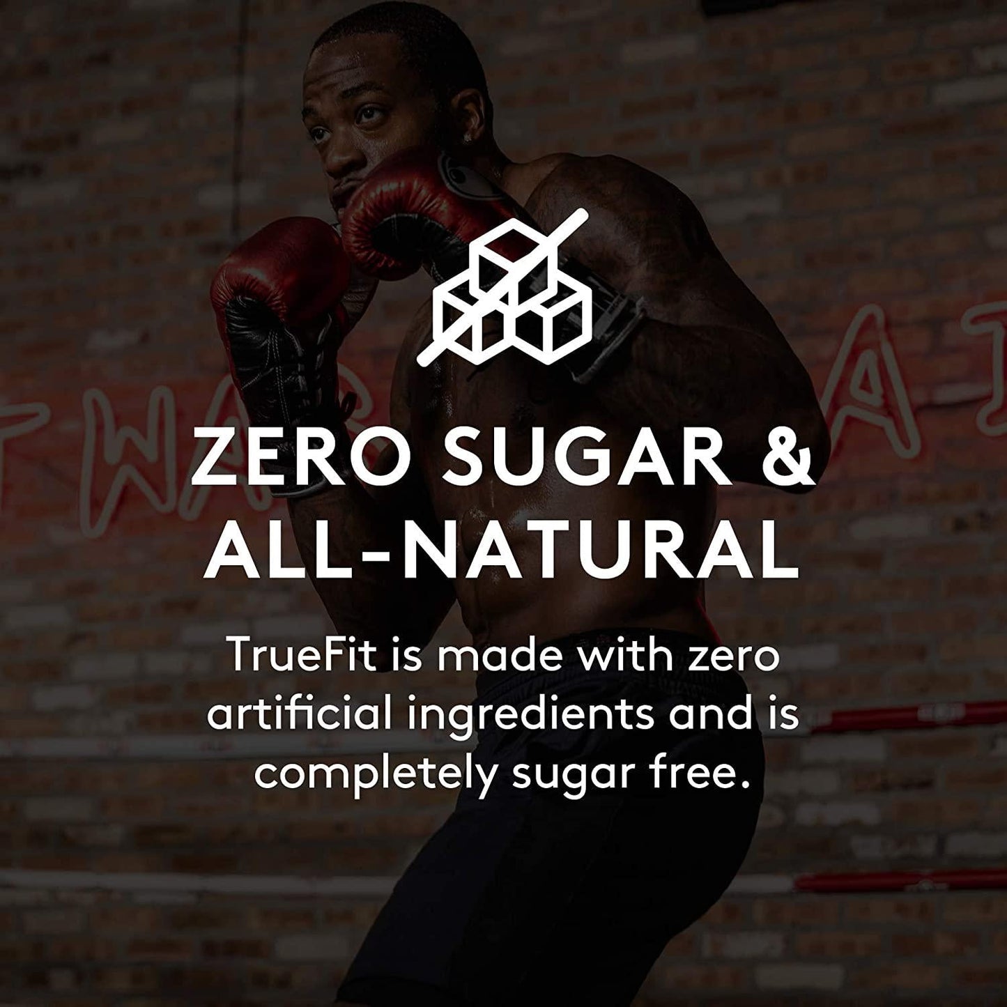 RSP NUTRITION TrueFit - Protein Shake and Meal Replacement, Grass-Fed Protein Drink with Organic Real Food, Probiotics, Zero Sugar, Lactose Free, Gluten Free, Chocolate, 11 Fl Oz (Pack of 12)