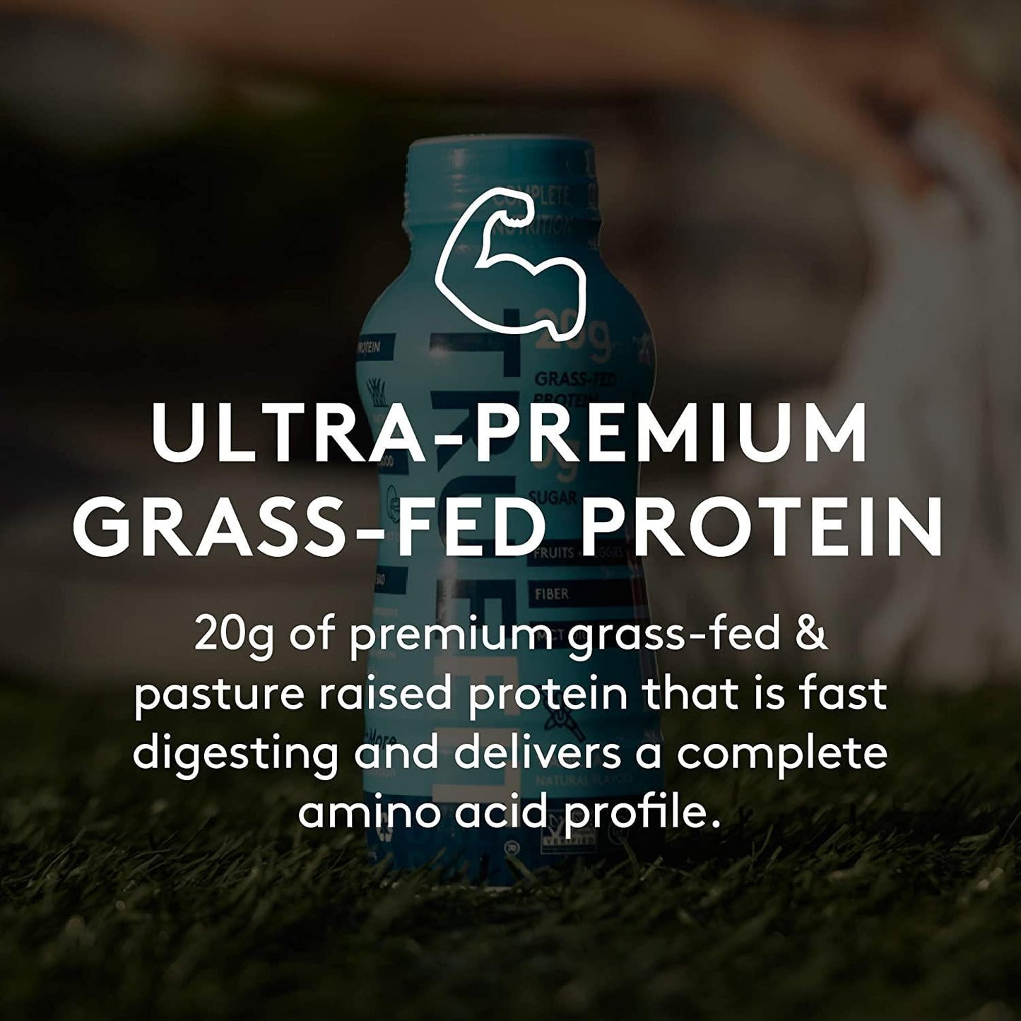 RSP NUTRITION TrueFit - Protein Shake and Meal Replacement, Grass-Fed Protein Drink with Organic Real Food, Probiotics, Zero Sugar, Lactose Free, Gluten Free, Chocolate, 11 Fl Oz (Pack of 12)