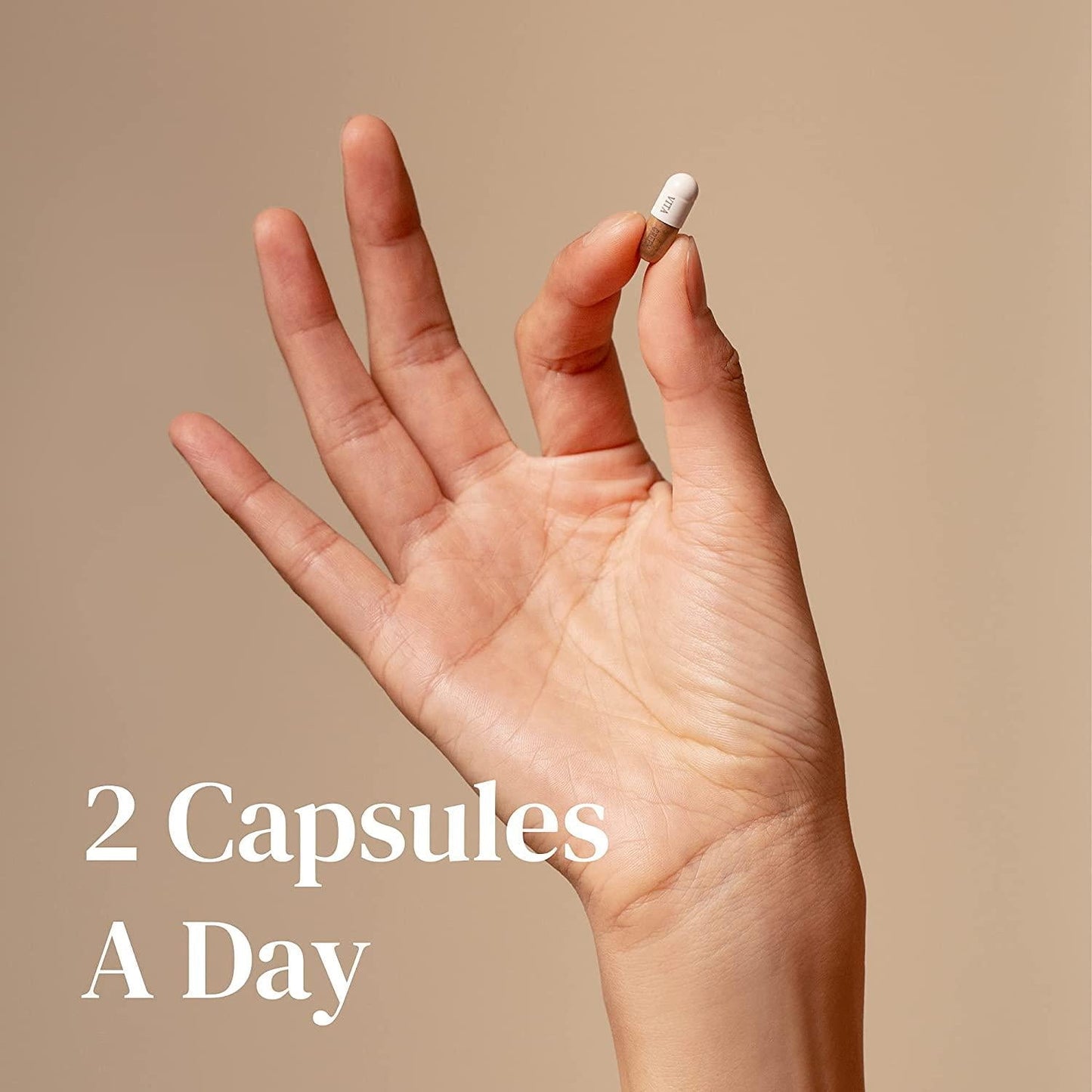 Reishi Lingzhi Mushroom Herbal Capsules, 100% Nature Pure Vegan Fungus Supplement Kidney Immune System Circulation Energy for Adults - 72 Capsules