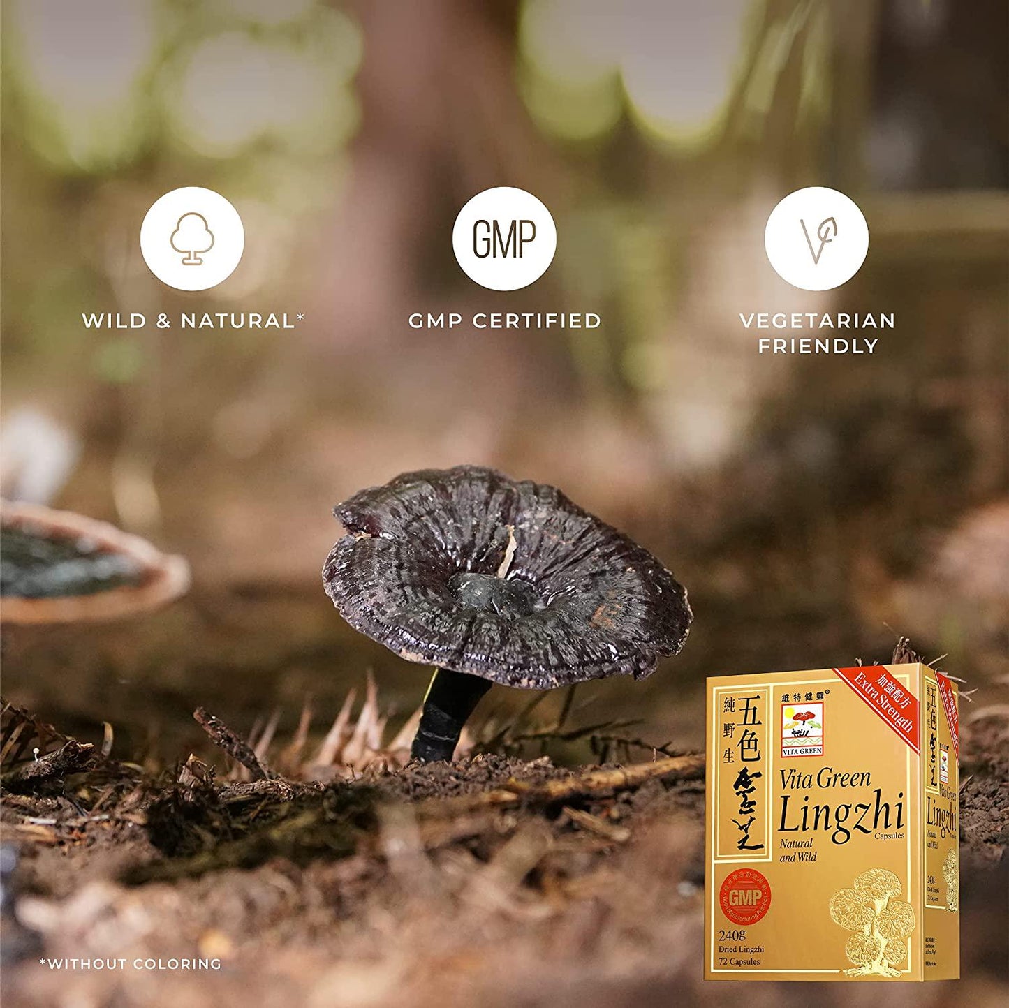 Reishi Lingzhi Mushroom Herbal Capsules, 100% Nature Pure Vegan Fungus Supplement Kidney Immune System Circulation Energy for Adults - 72 Capsules