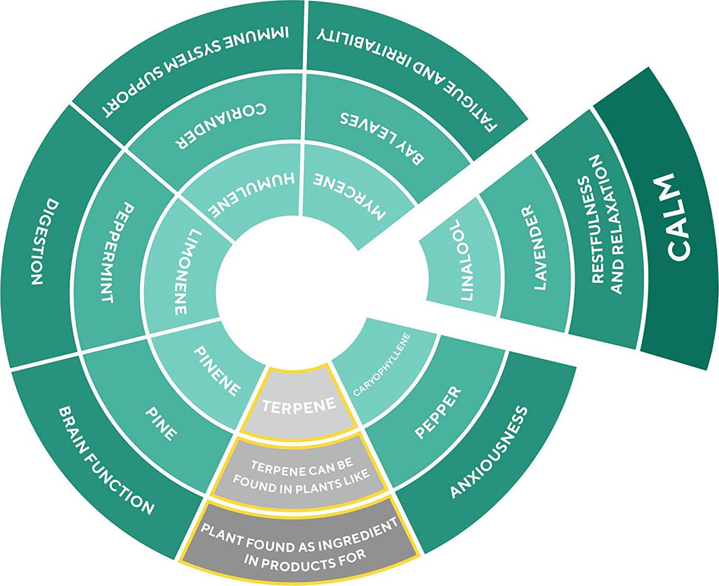 Rellies Natural Calm Mood Support Drops To Put Stress and Anxiety to Bed (30 Servings) Natural Terpenes    