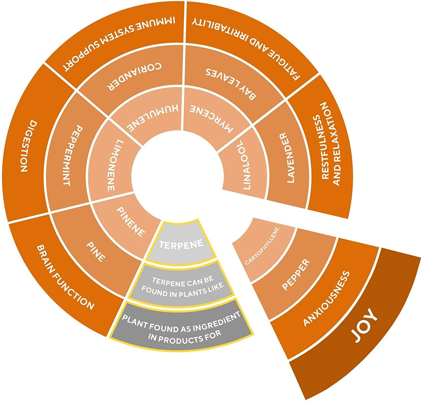 Rellies Natural Joy Mood Support Drops for Permanent Residence on Cloud Nine (30 Servings) Natural Terpenes