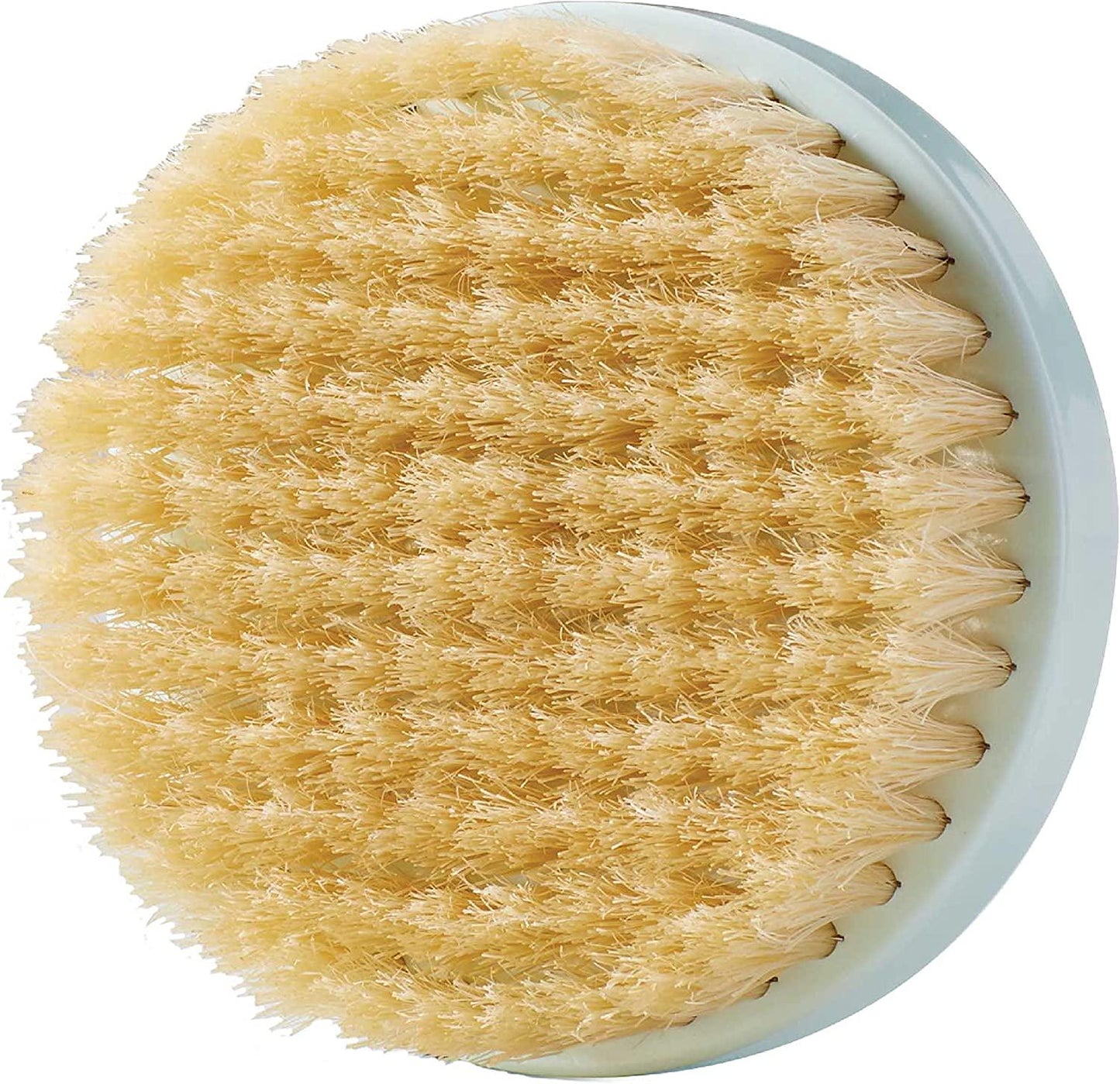 Remington Reveal Natural Brush Head