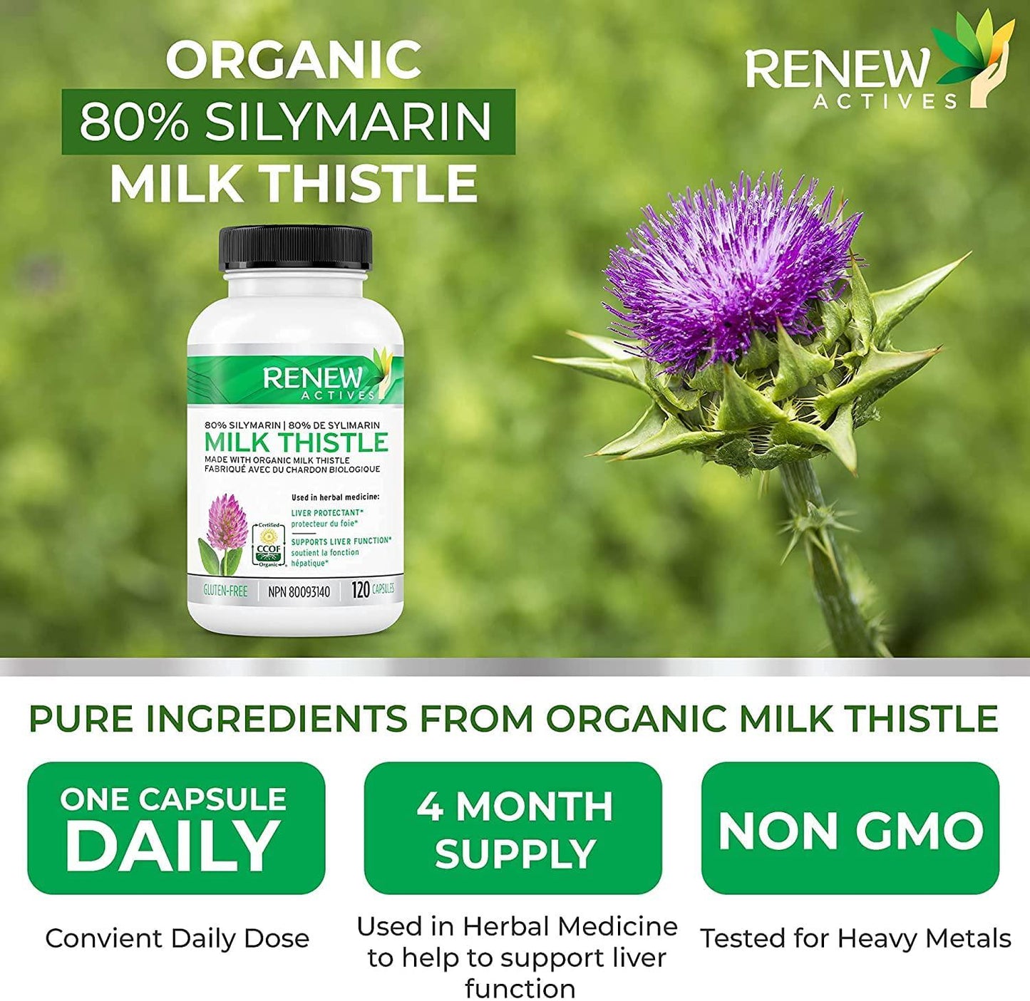 Renew Actives Milk Thistle Capsules: 300mg Organic Milk Thistle Seed Extract Supplement to Support Healthy Liver Function - Highly Concentrated Formula with Standardized Silymarin - 120 Veggie Pills