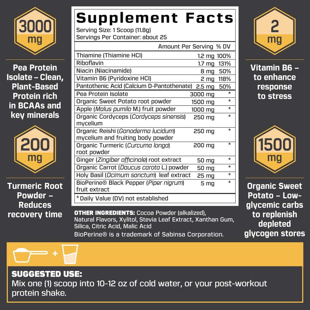 Revive Post Workout Recovery Drink - Natural Muscle Building and Muscle Recovery Supplement - Plant Based Protein Powder with B Vitamins - Double Fudge Chocolate Flavor - 25 Servings - Sheer Strength