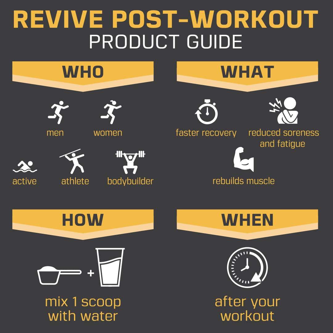 Revive Post Workout Recovery Drink - Natural Muscle Building and Muscle Recovery Supplement - Plant Based Protein Powder with B Vitamins - Double Fudge Chocolate Flavor - 25 Servings - Sheer Strength