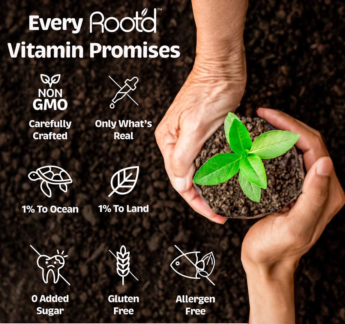 Rootd - Powder Prenatal Vitamin - Pregnancy Multivitamin with 25 Vitamins and Minerals A, C, D, E, B12, B6, K, Iron, Folate, Probiotics, Organic Super Greens | Lemon Ginger | 24 Effervescent Stick Packs