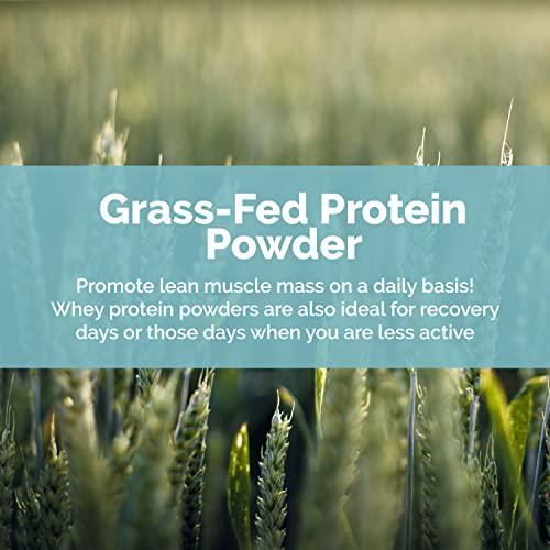 SANE Clean Whey Protein Powder Grass Fed Whey Protein Isolate Plain Unflavored 100% Pure Hormone-Free Non-GMO