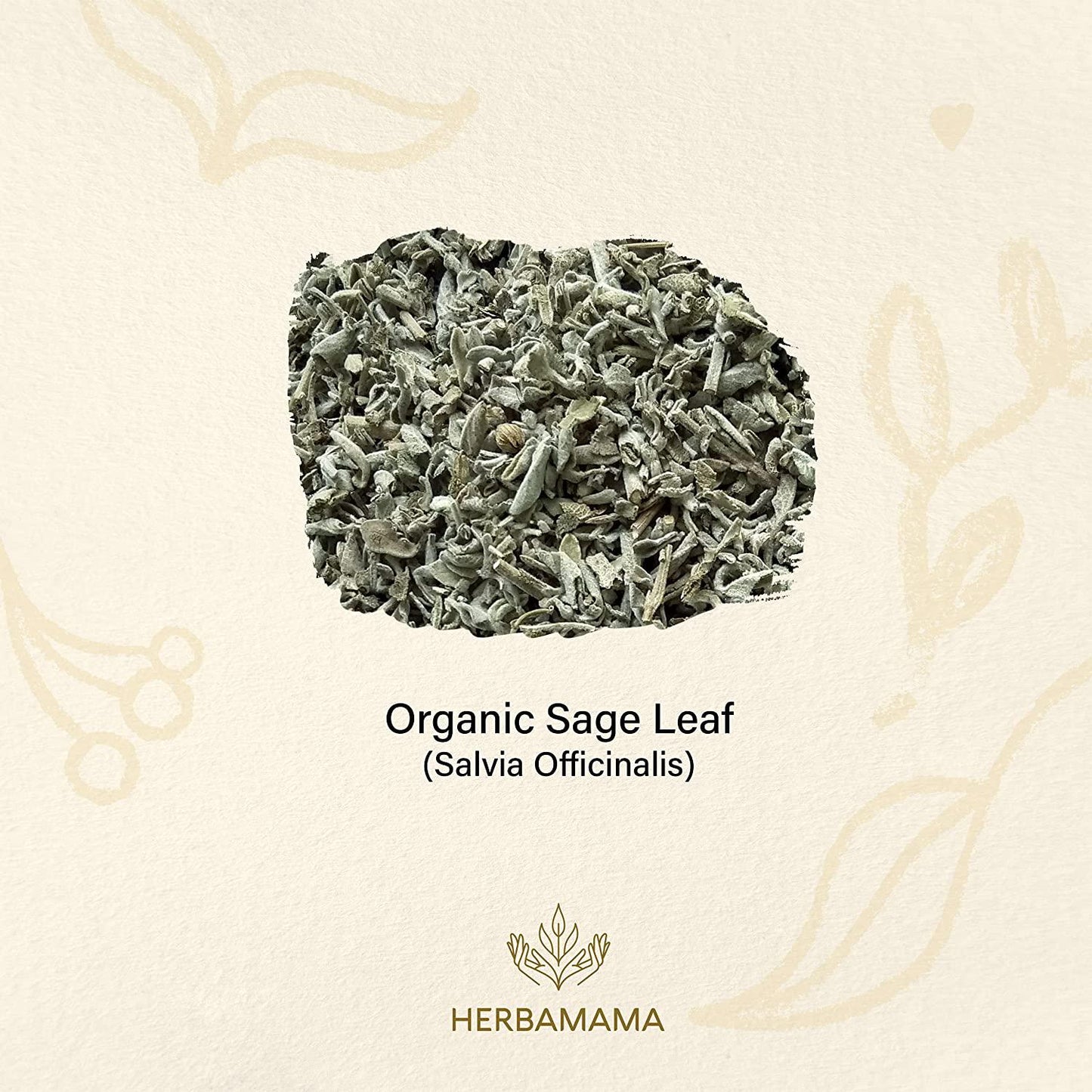 Sage 100 Capsules 500 mg | Filled with Organic Sage Leaf | Gut Health and Digestive Function | Brain Function | Non-GMO