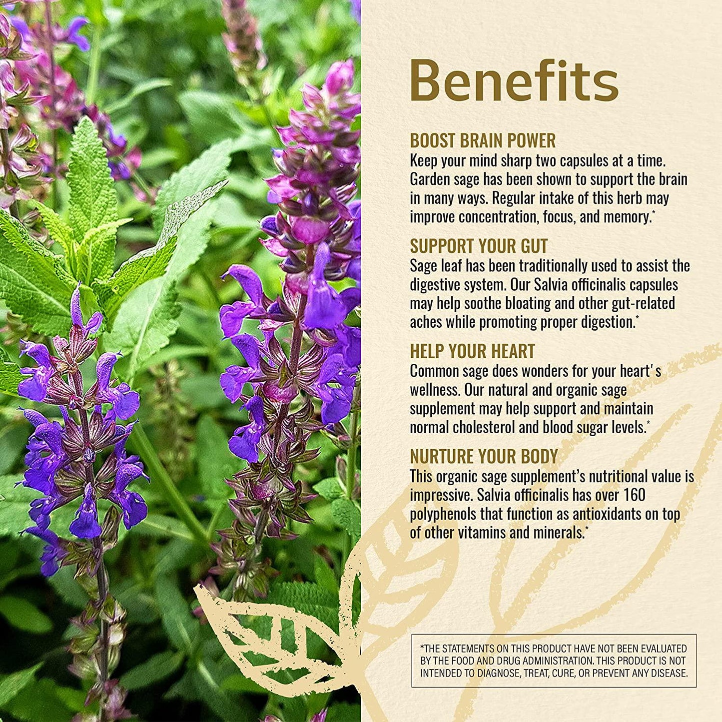 Sage 100 Capsules 500 mg | Filled with Organic Sage Leaf | Gut Health and Digestive Function | Brain Function | Non-GMO