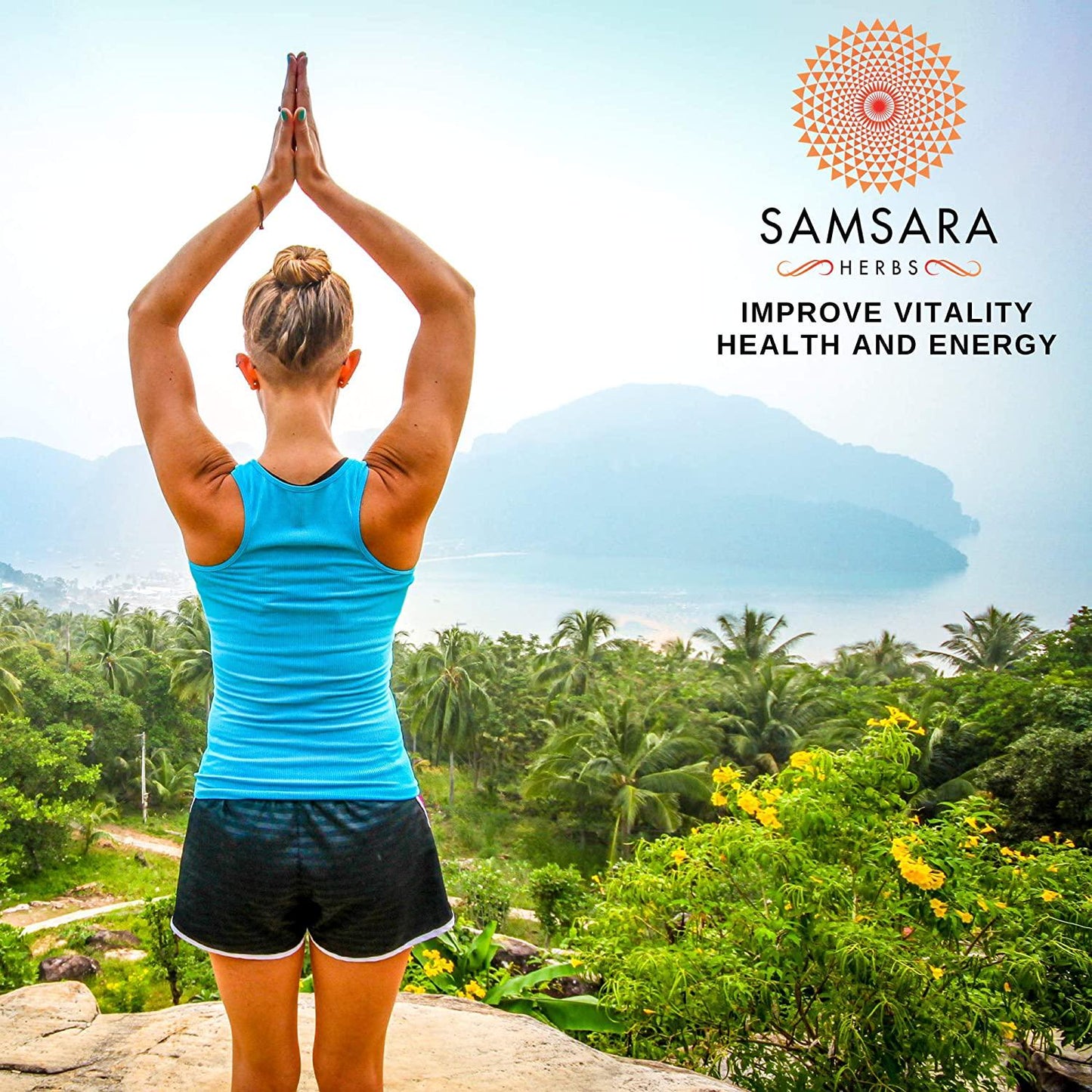 Samsara Herbs Polyrhachis Ant Extract Powder - 20:1 Concentrated Extract (8oz)