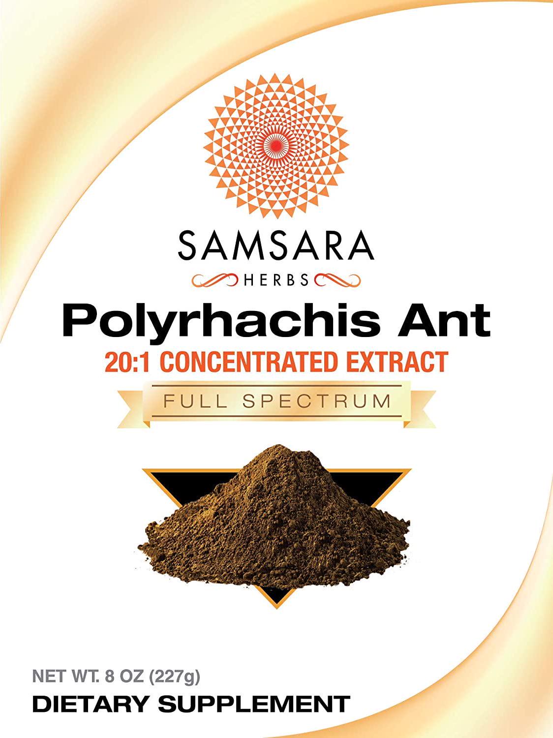 Samsara Herbs Polyrhachis Ant Extract Powder - 20:1 Concentrated Extract (8oz)