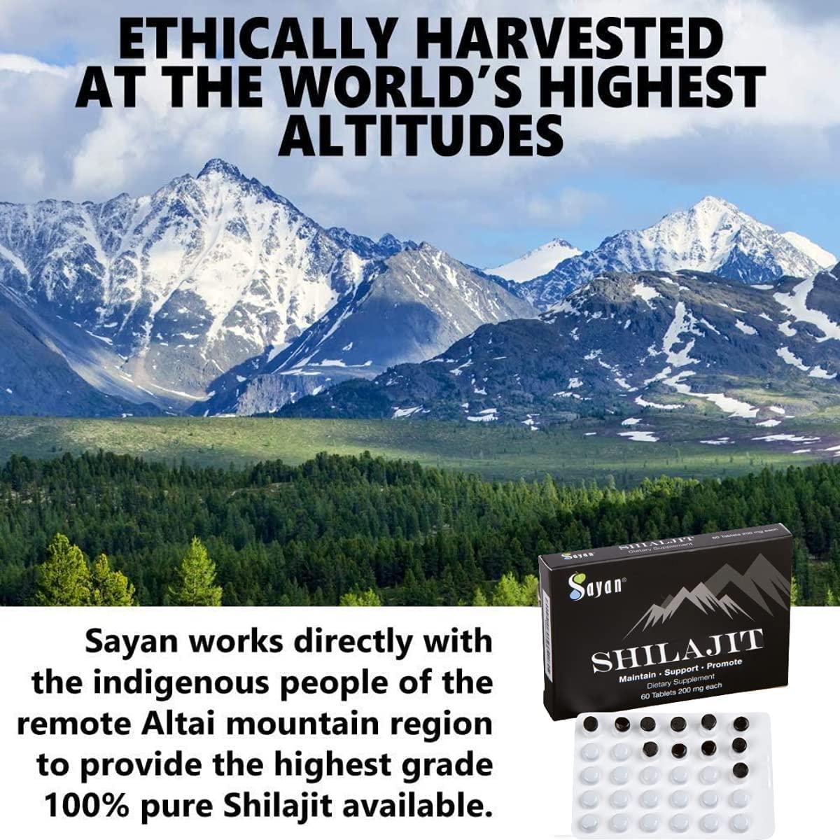 Sayan Pure Altai Shilajit Genuine Black Resin Mineral Pitch, Organic Fulvic Acid Supplement For Detox, Immune + Energy Support