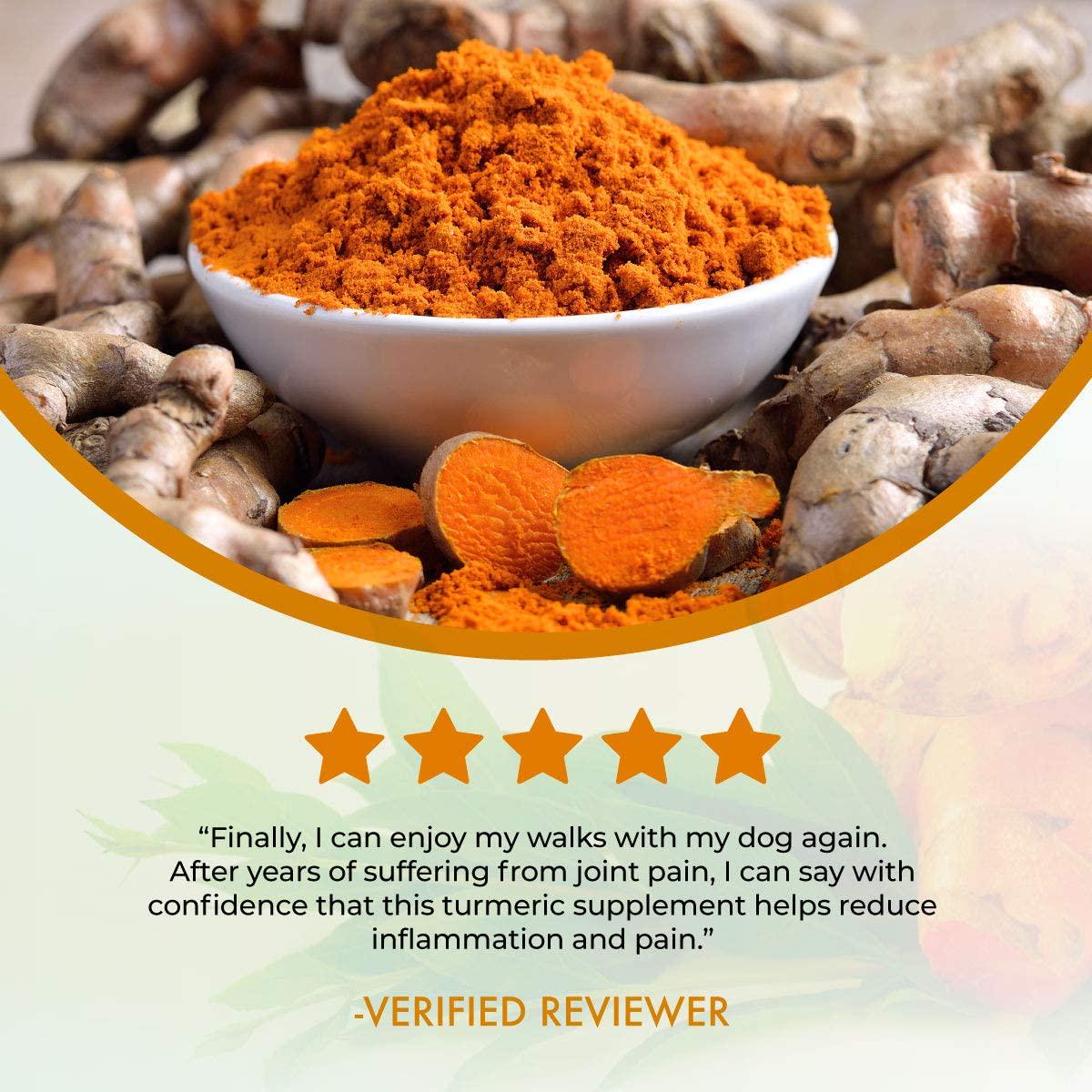 Science Natural Supplements: Turmeric Capsules with Curcumin and Bioperine Black Pepper Extract - 60 Veggie Caps - Anti Inflammatory for Joint Health with 95% Curcuminoids - Max Absorption Formula