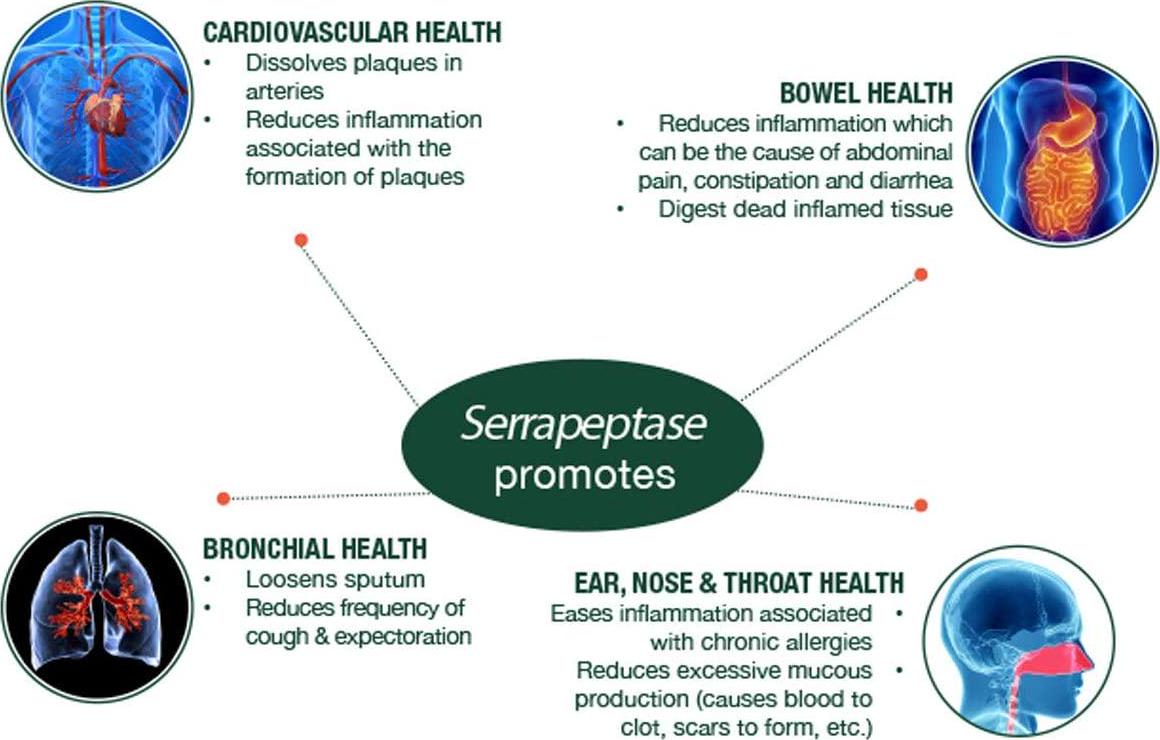 Serrapeptase Enzyme, High Potency 120000 Units (SPU), Enteric Coated. 200 Vegetarian Capsules. 200-day Supply